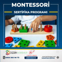 Montessori Eğitimi Sertifika Programı