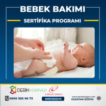 Bebek Bakımı Eğitimi Sertifika Programı