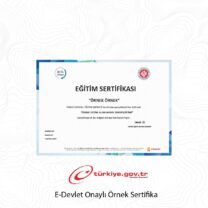 Hiperaktivite Eğitici Eğitimi Sertifika Programı